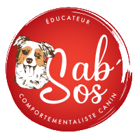 Sab'Os Logo